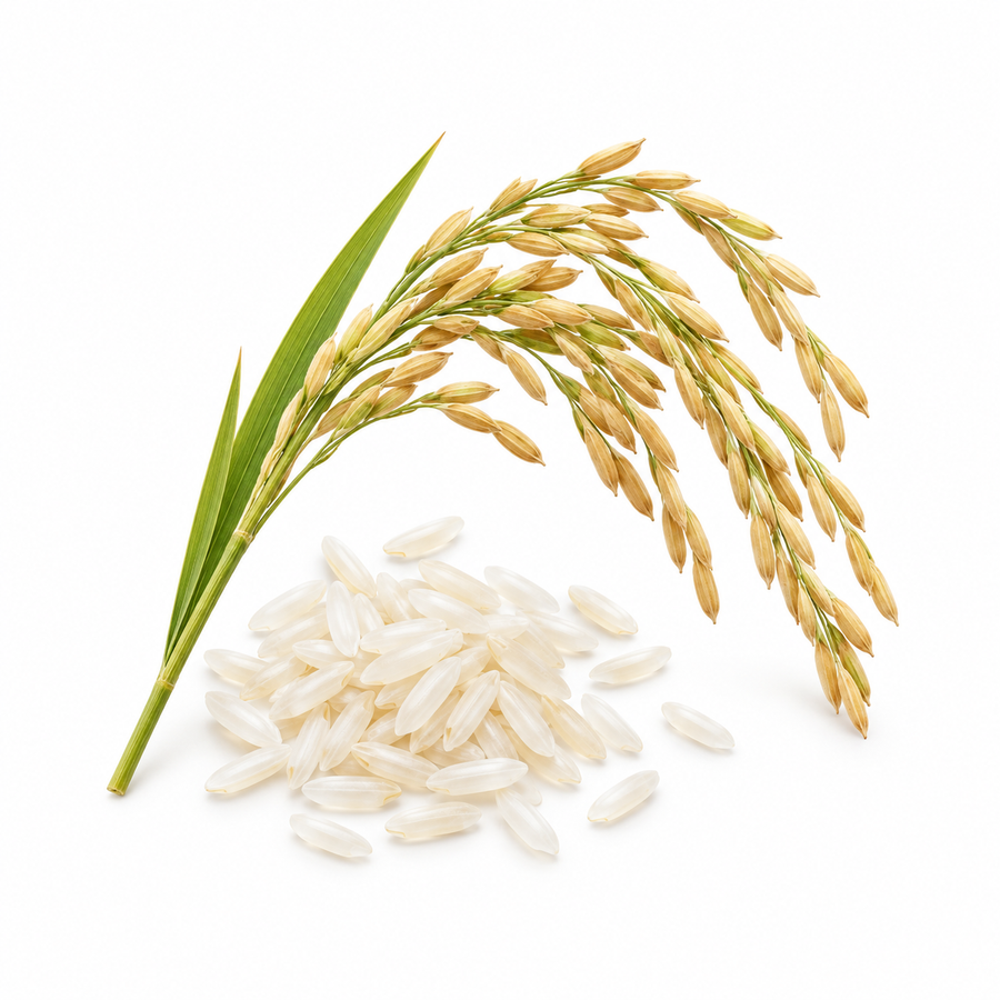 Rice extract