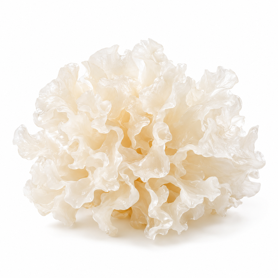 Snow mushroom