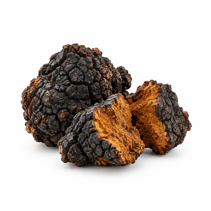 Chaga