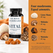 Vital four-mushroom ingredient story